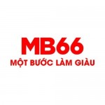 MB66 Cheap Profile Picture