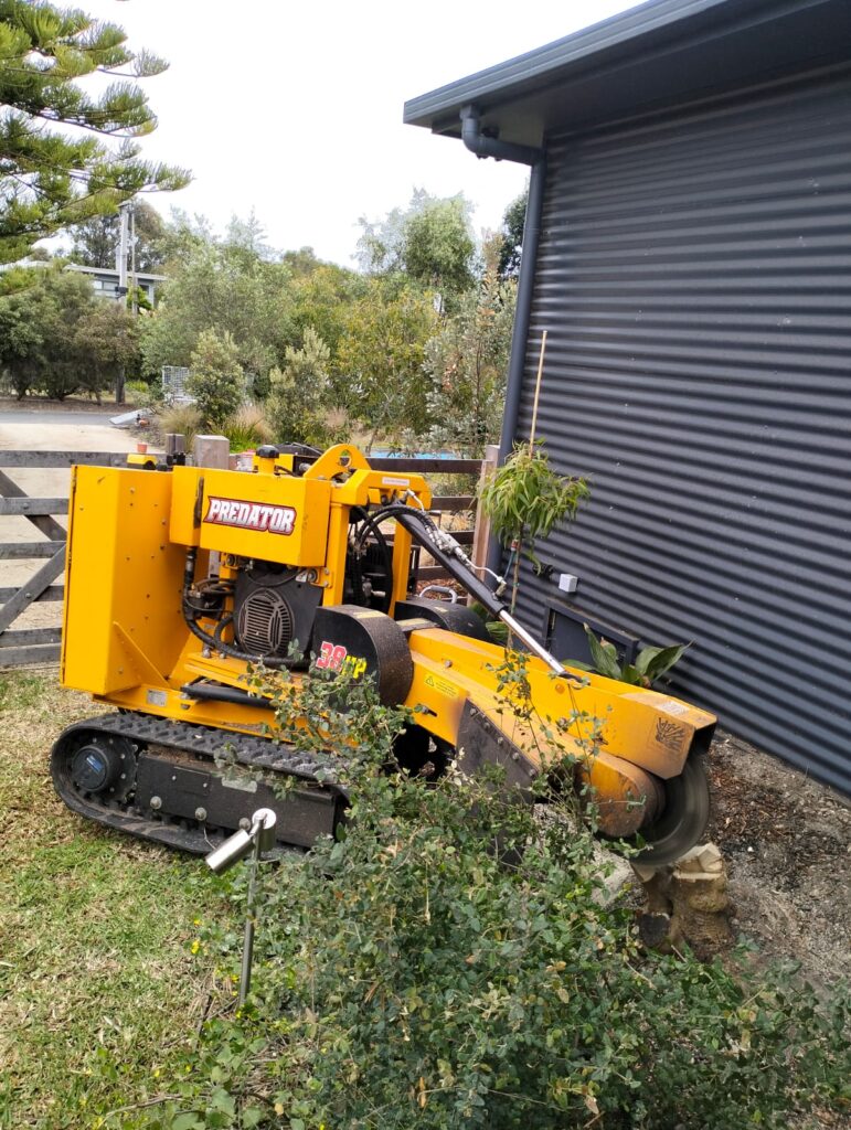 "Transform Your Yard: Expert Stump Grinding Services in Armstrong Creek"