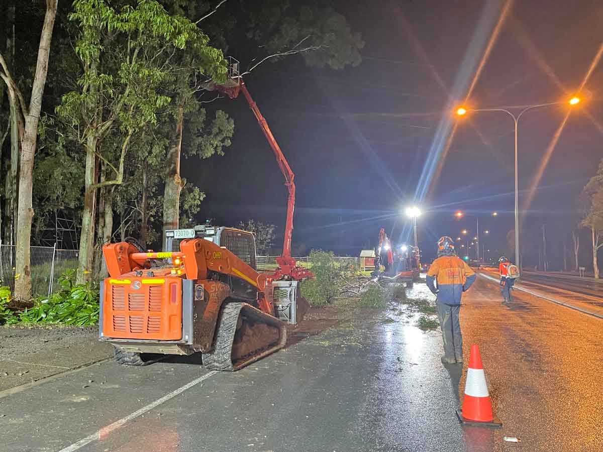 Commercial Arborist Services Brisbane | Expert Tree Care