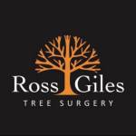 Ross Giles Tree Surgery Profile Picture