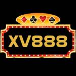 xv888 biz Profile Picture
