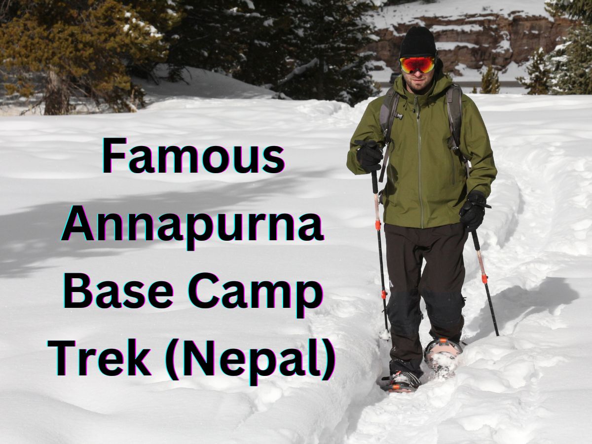 Annapurna Base Camp Trek: Essential Guide & Tips – A4Everyone