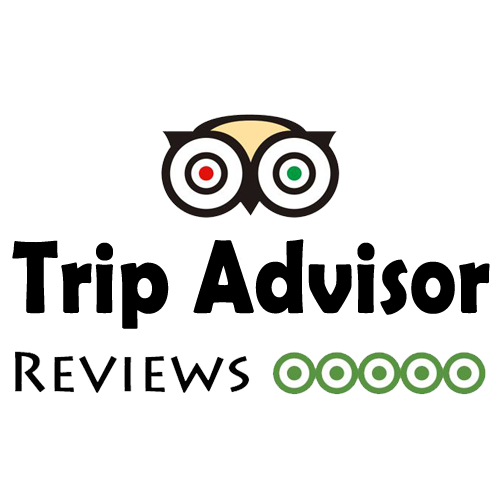 Buy Negative TripAdvisor Reviews | 100% Safe & Secret