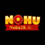 Nohu28 Profile Picture