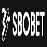 sbobet8 pro Profile Picture