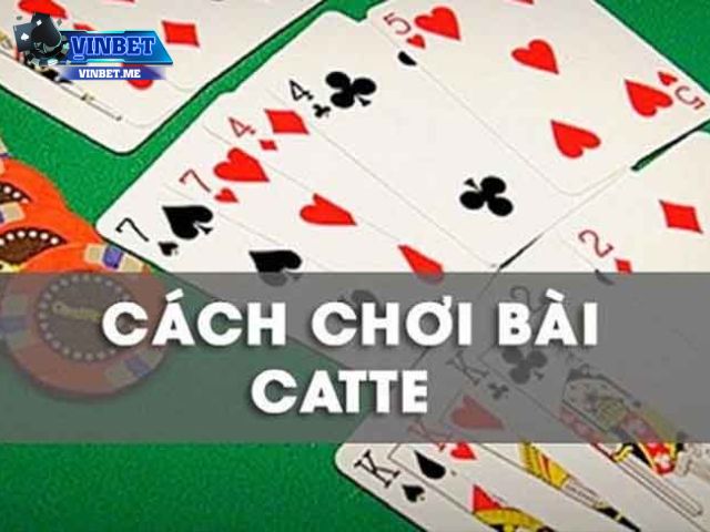 Hướng Dẫn Cách Chơi Catte Vinbet Cho Người Mới