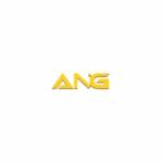 ANG Industries