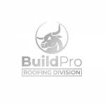 BuildPro Roofing Company