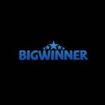 Bigwinner Casino Profile Picture