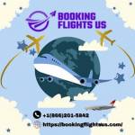 booking flightus Profile Picture