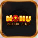 NoHu01 profile picture