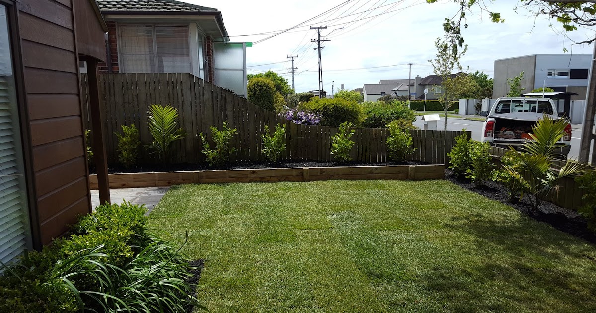 Innovative Landscape Solutions in Auckland: Elevating Commercial Spaces with Hydroseeding