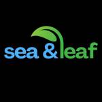 Sea And Leaf