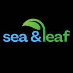 Sea And Leaf profile picture