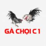 XEM LIVE GÀ CHỌI C1 THOMO MỚI NHẤT HÔM NAY