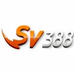 SV388 Profile Picture