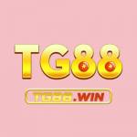 Tg88 win