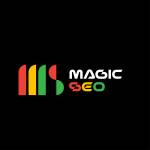 Magic SEO Profile Picture