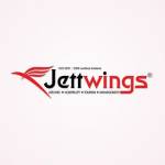 Jett Wings profile picture