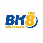 BK8 Domains Profile Picture