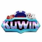 Kuwin it Profile Picture