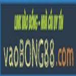 Vaobong88 com Profile Picture