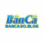 BANCA30 BẮN CÁ ĐỔI THƯỞNG Profile Picture