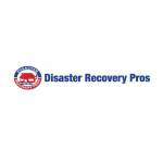 Disaster Recovery Pros profile picture