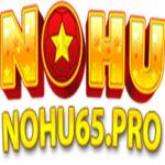 Nohu65 Pro Profile Picture
