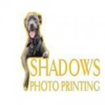 Shadows Photo Printing Profile Picture