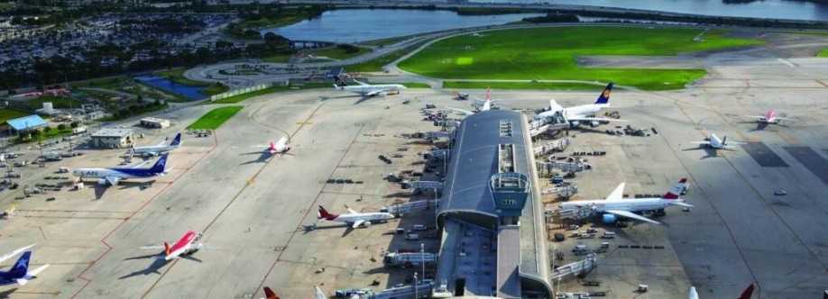 allairport terminal Cover Image