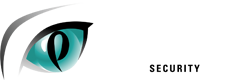 CCTV Installers - Serving Essex | Panther Security