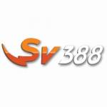 Sv388 s128 profile picture