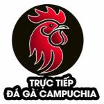 TRỰC TIẾP ĐÁ GÀ CAMPUCHIA THOMO KHÔNG GIẬT LAG