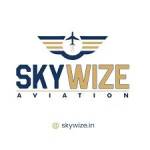 SkyWize Aviation