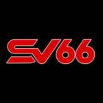 SV 66 Profile Picture