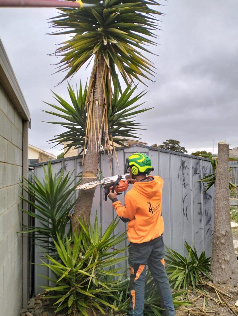 Ensure Safety with Professional Fire Break Pruning in Anglesea