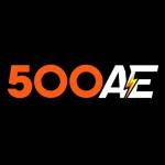 500AE art