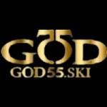 God55 ski Profile Picture