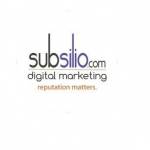 Subsilio Consulting LLC