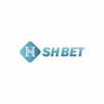 Shbet Vn Profile Picture