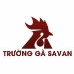 TRƯỜNG GÀ SAVAN XEM TRỰC TIẾP GÀ CHỌI C1