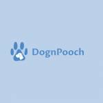 Dogn Pooch profile picture