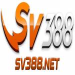 SV388 net Profile Picture