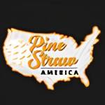 Pinestraw America