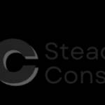 stead fastconsultingus