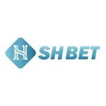 SHBET1 cfd