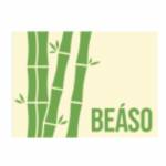 Beaso Panels