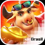 brasilfor tuneox