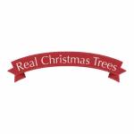 real christmas tree Profile Picture